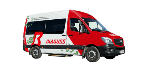 Blaguss Rolli-Bus 8-Sitzer 