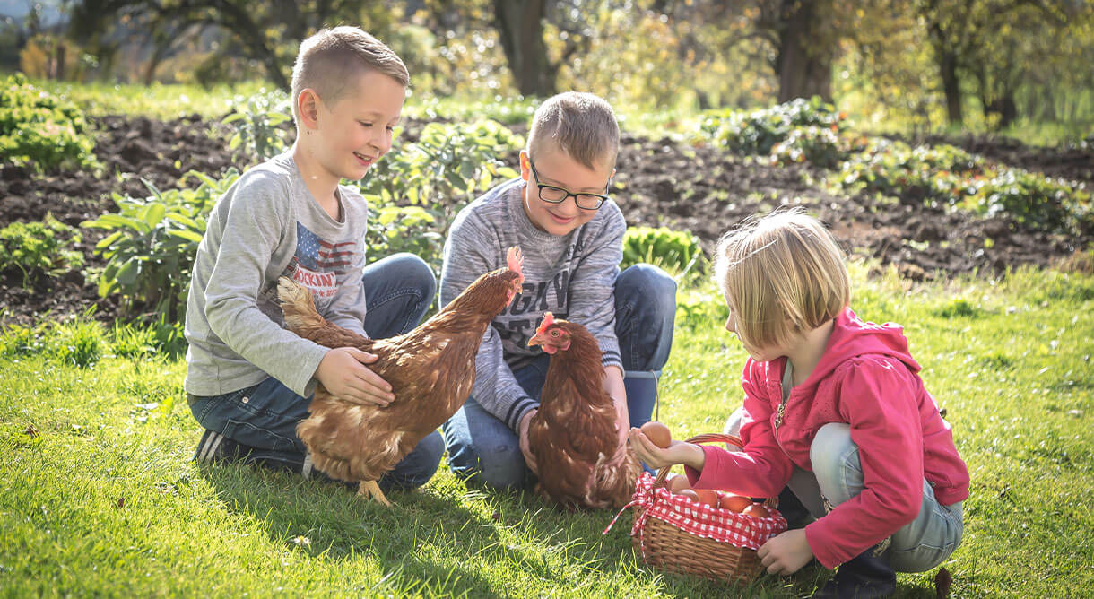 Schule am Bauernhof - Kinder mit Hühnern